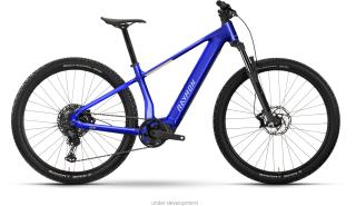 Raymon Zorq Comp 2027