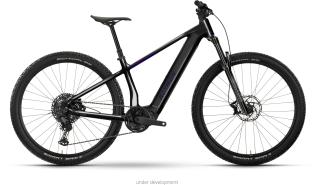 Raymon Zorq Ultra 2027