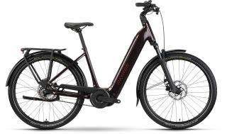 Raymon Metmo Pro Wave Rücktritt - 2027