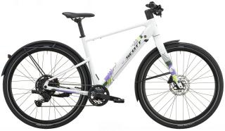 Scott Sweep 10 2027