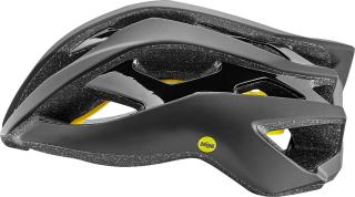 Giant Rev MIPS Helm
