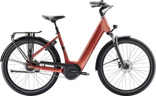 Trek District+ 4 Coaster Lowstep - 2026