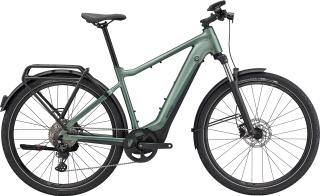 Giant Explore E+ 1 GTS - 2025 Misty Forest / Black Satin-Matt | M