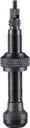 Schwalbe Tubeless Ventil (2er-Set) 60mm