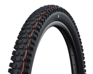 Schwalbe Albert