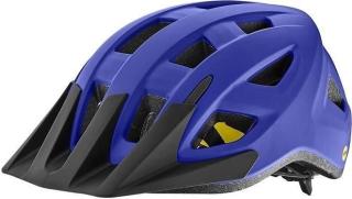 Giant Path ARX MIPS Helm
