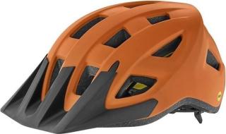 Giant Path ARX MIPS Helm