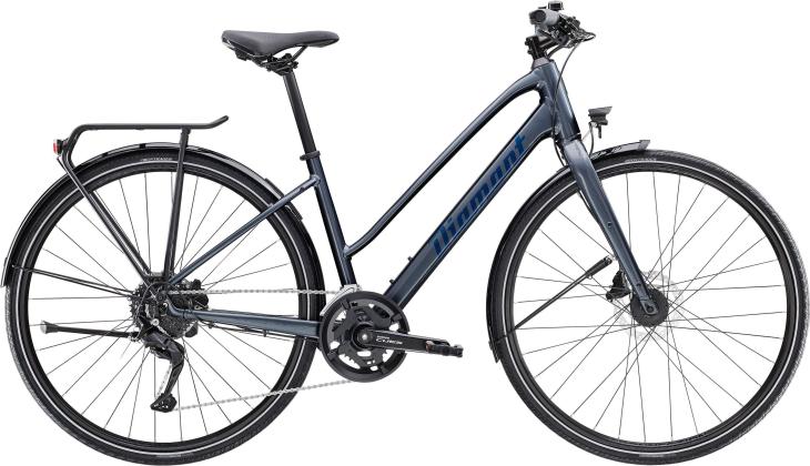Diamant Rubin Einstieg mittel - 2025 