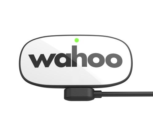 Wahoo Trackr Herzfrequenzgurt 
